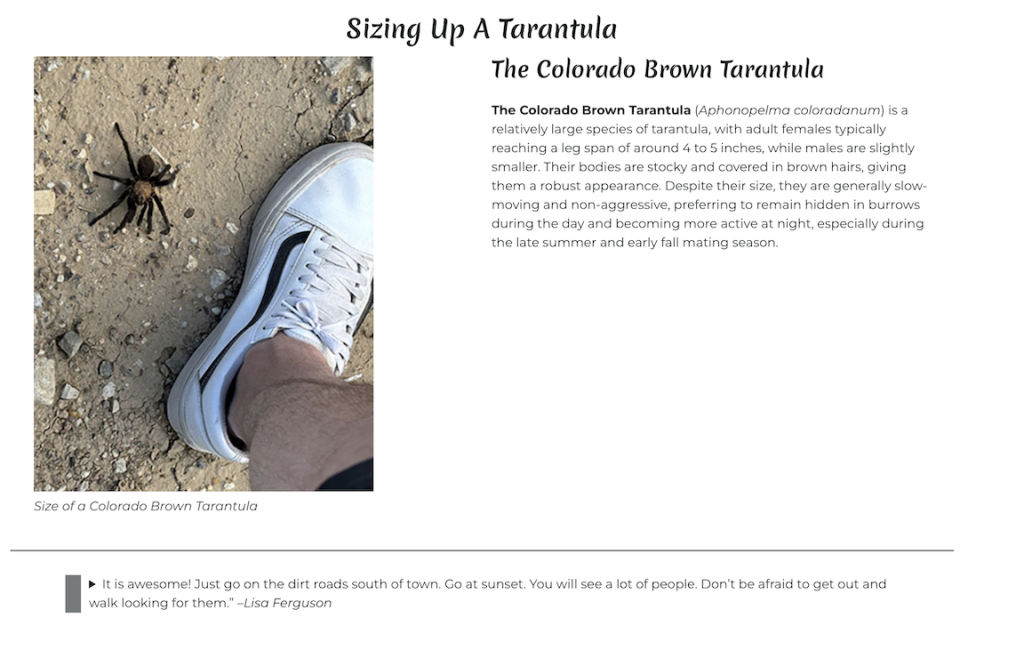 Tarantula Migration Website